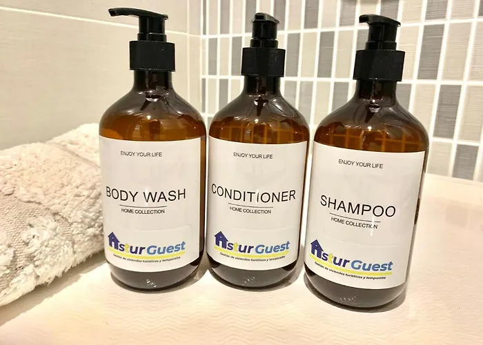 Apartamento La Losa Oviedo